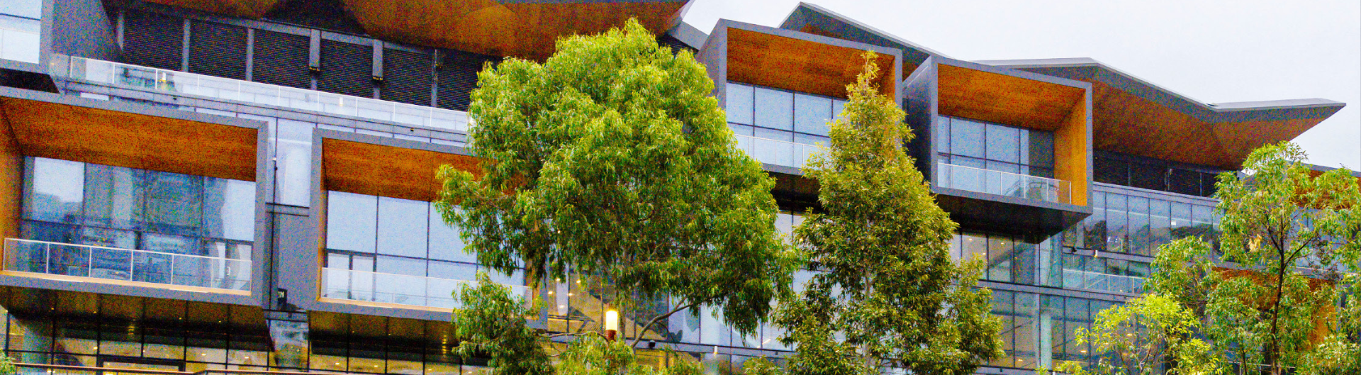 ICC Sydney's Exhibition Centre surrounded by native Australian trees.