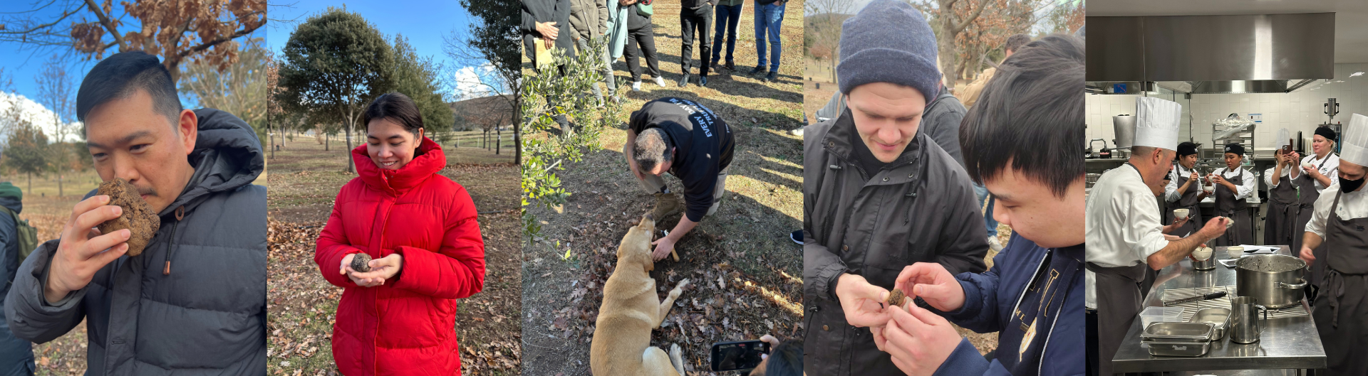 icc sydney takes its chefs on a truffle hunting adventure