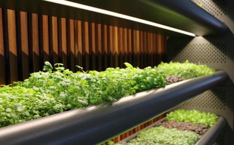 Corporate Social Responsibility Banner