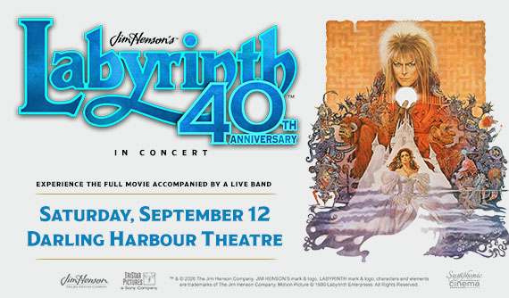 Labyrinth in Concert opens new tab